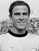 domazos