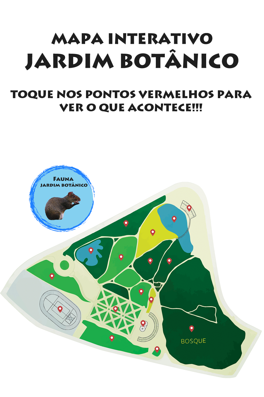 Mapa do Jardim Botnico