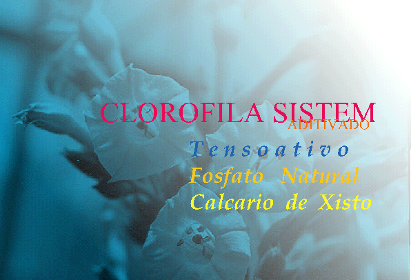 FOLDER CRIADO PARA O POTENCIALIZADOR DO CRESCIMENTO VEGETAL. - ST/EI/AM,PQR-RMCTBA-PR-BR,2004.