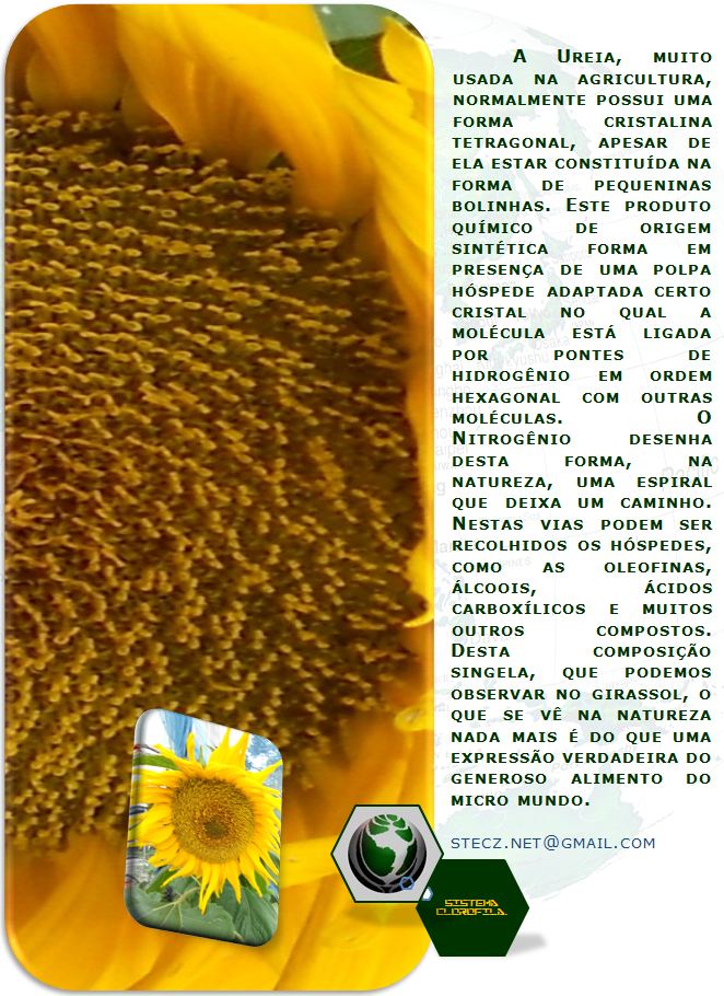 PONTES DE HIDROGNIO  UM CONCEITO QUE EXPLICA O COMPORTAMENTO DO CONVERTER, DOBRAR, ENOVELAR EXAGONALMENTE AS MOLCULAS E DESTA FORMA DESENHA NA NATUREZA A ESPIRAL PRIMORDIAL DA VIDA . AQUI UMA MONTAGEM PARA O BLOG EM 2014