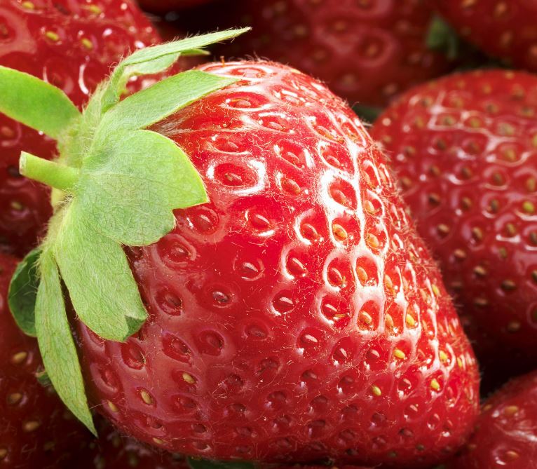 MORANGO 