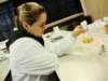 dsc01515_small.jpg