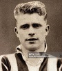 doherty